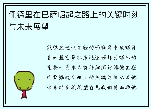 佩德里在巴萨崛起之路上的关键时刻与未来展望