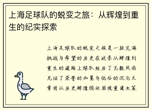 上海足球队的蜕变之旅：从辉煌到重生的纪实探索