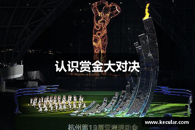 认识赏金大对决