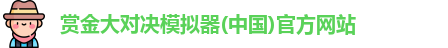 赏金大对决